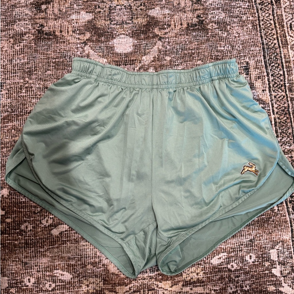 Tracksmith Twilight Sage Green Split Shorts - Small